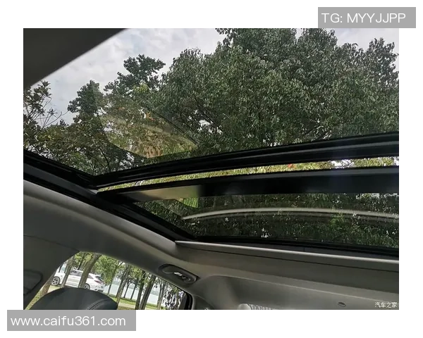 上海排球队选拔赛表现分析：团队配合与战术执行的深度解读